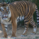 Smithsonian National Zoo